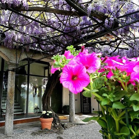 Antico Glicine B&B Maslianico Εξωτερικό φωτογραφία