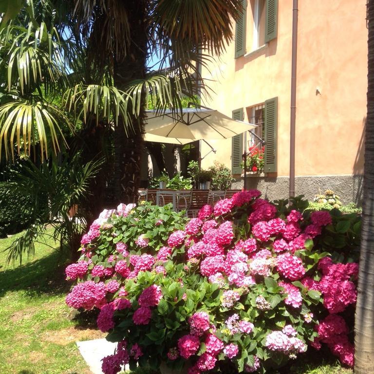 Antico Glicine B&B Maslianico Εξωτερικό φωτογραφία