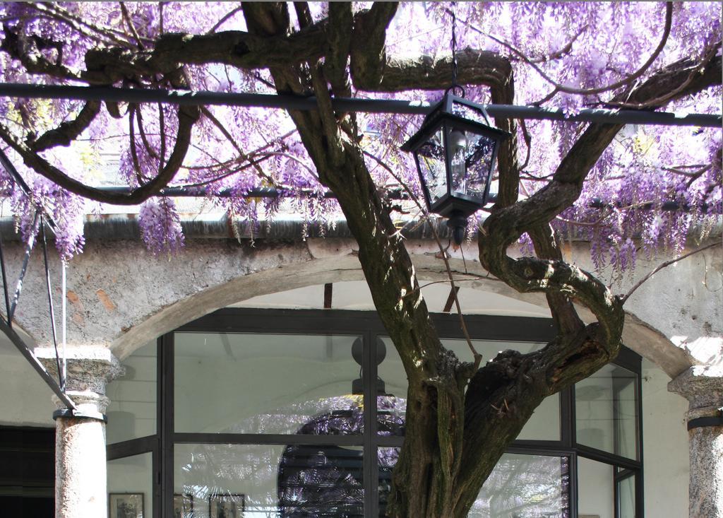 Antico Glicine B&B Maslianico Εξωτερικό φωτογραφία