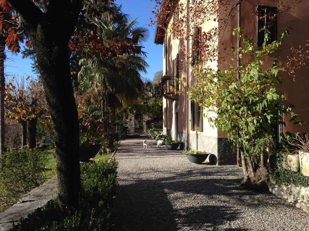 Antico Glicine B&B Maslianico Εξωτερικό φωτογραφία