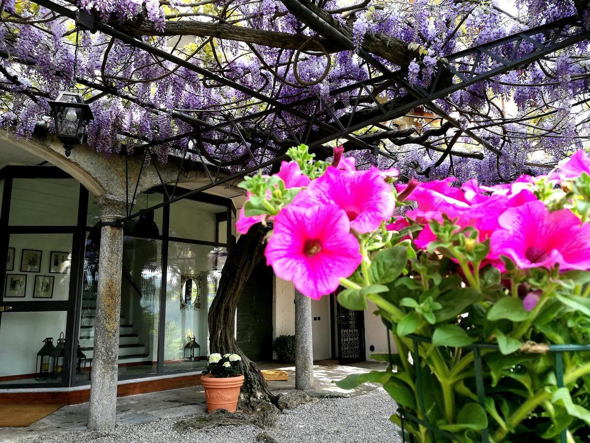 Antico Glicine B&B Maslianico Εξωτερικό φωτογραφία